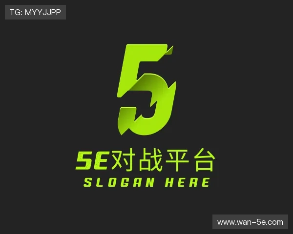 关于5e对战官方网站